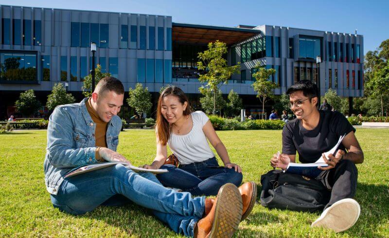 【澳洲大學指南】6個理由，你該就讀高率取率的Macquarie university麥覺理大學