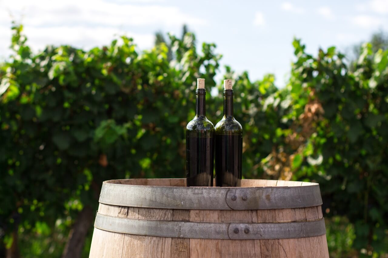 阿得雷德大學的紅酒科系提供釀造與貿易相關課程。